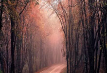 开云体育下载-摩洛哥瓦赫达球员伤愈归队，阵容进一步完整