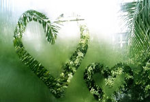 开云平台-河床主场优势明显，球迷期待逆转奇迹