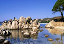 开云体育APP下载-冰与火的淬炼！瑞典队上演北欧奇迹，欧洲杯半决赛黑马觉醒