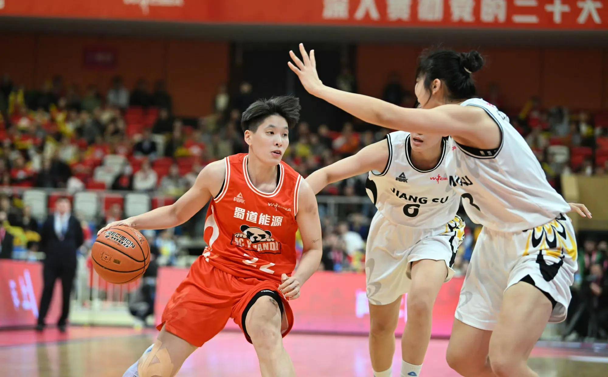 江苏队主场击败四川，获得关键胜利