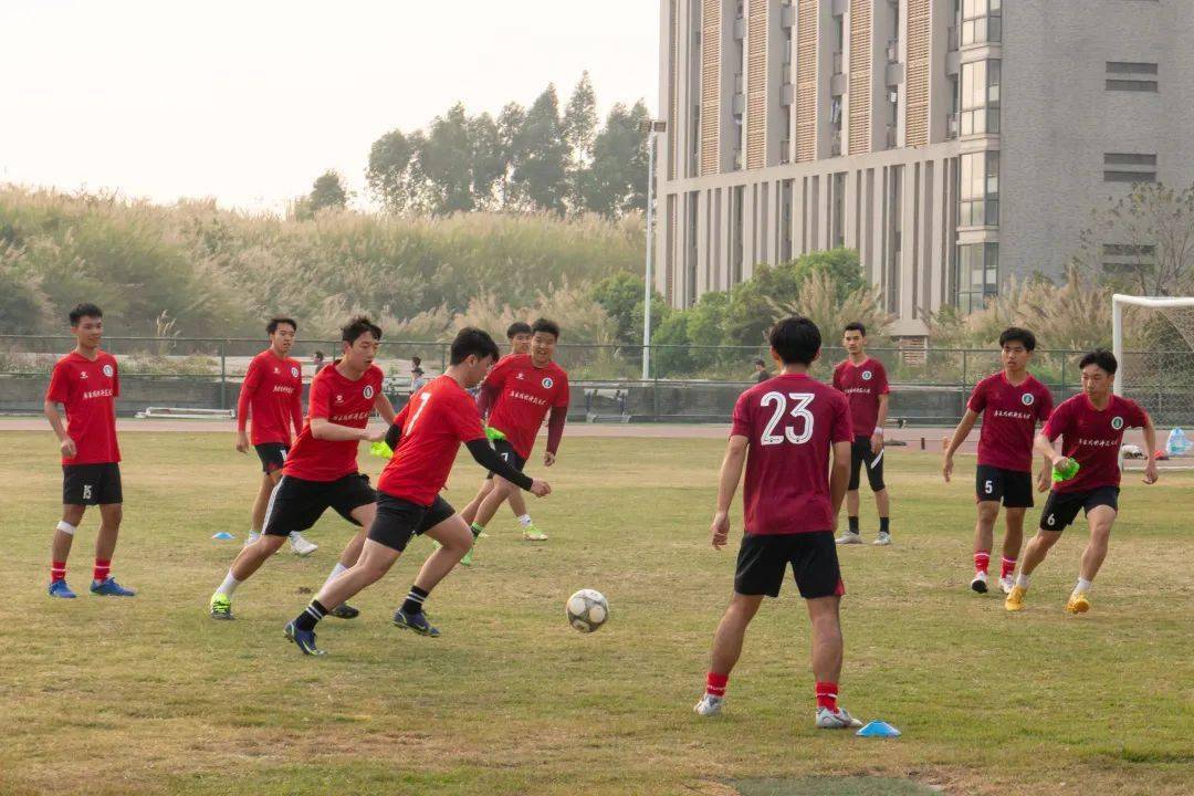 球队新组建,教练智谋多阵训备战 球队新组建,教练智谋多阵训备战