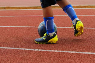 开云体育-蒙特雷训练基地开放，备战世俱杯进入冲刺阶段