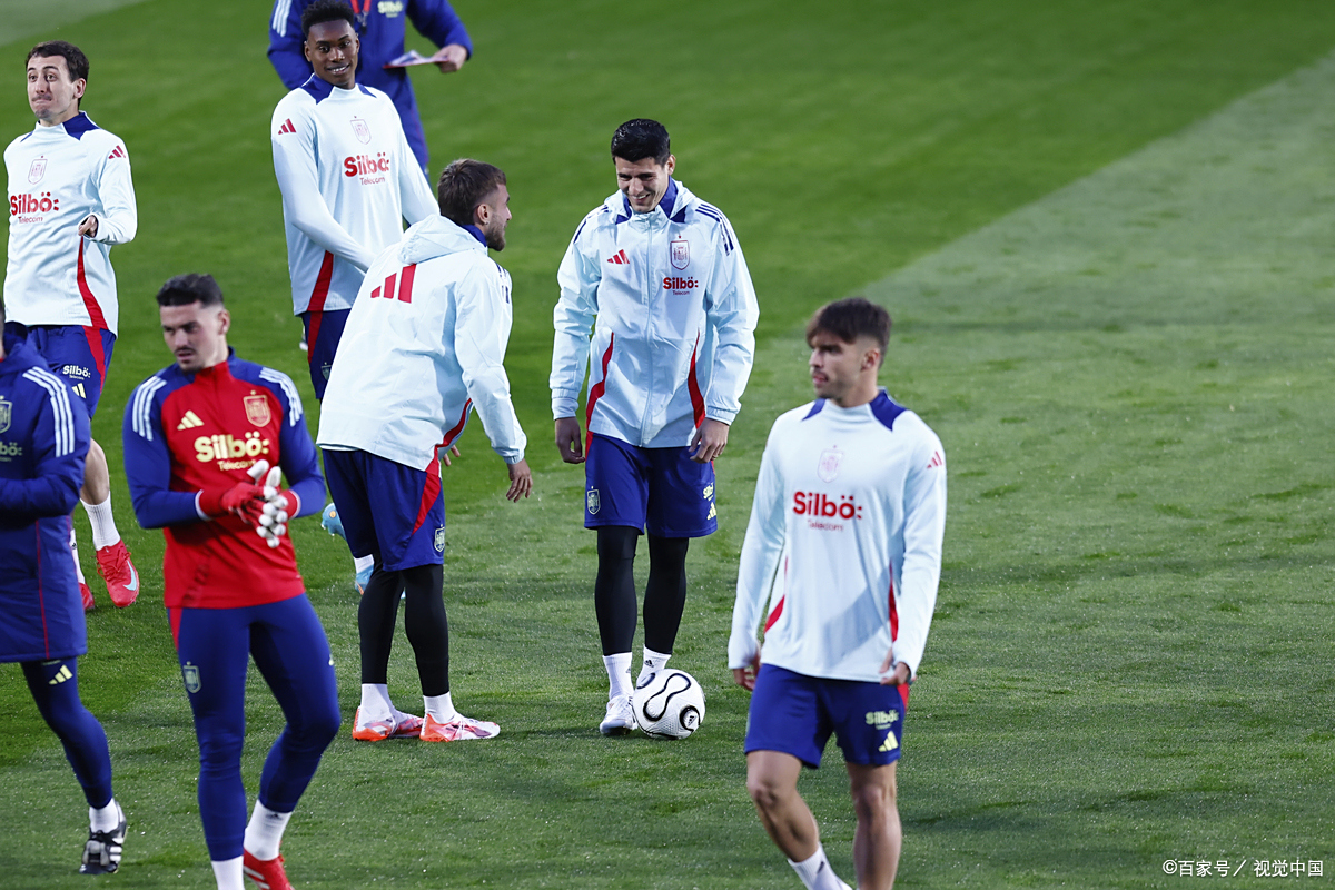 开云体育平台APP-荷兰队实力击败意大利，成功晋级决赛